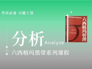 黑带-分析Analyze