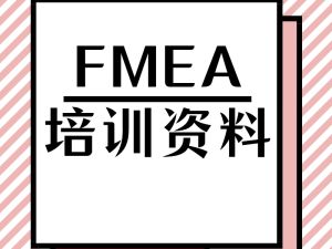 FMEA培训资料